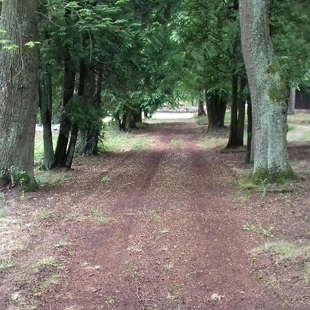 Stacja Wypoczynkowa Augustow Villa Eksteriør billede